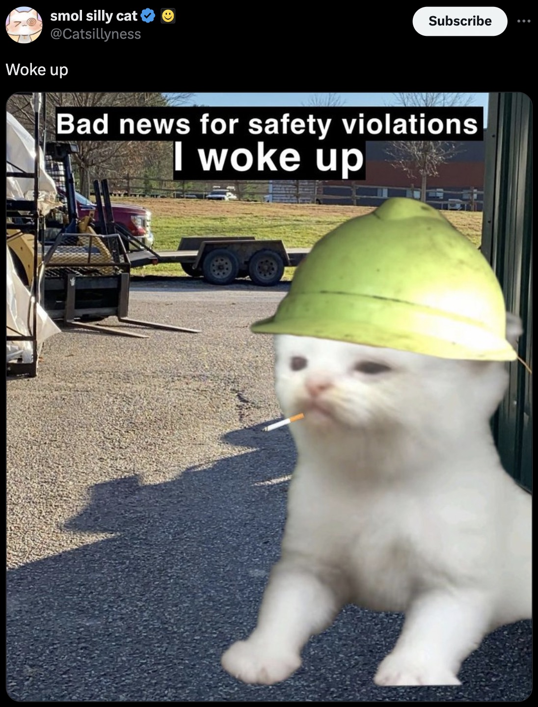 asian - smol silly cat Woke up Subscribe Bad news for safety violations I woke up